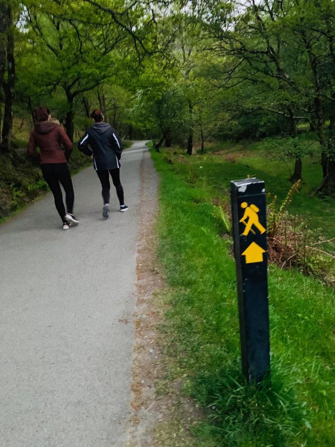 Way 4* Wicklow