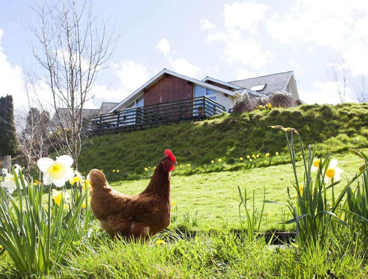 Bed & Breakfast Way Wicklow